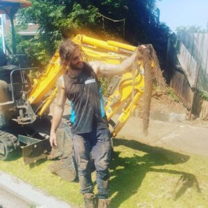 remove tree branch and unclog drains-Settlement Road, Thomastown