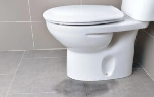 toilet leaking fix- Church Street, Gladstone